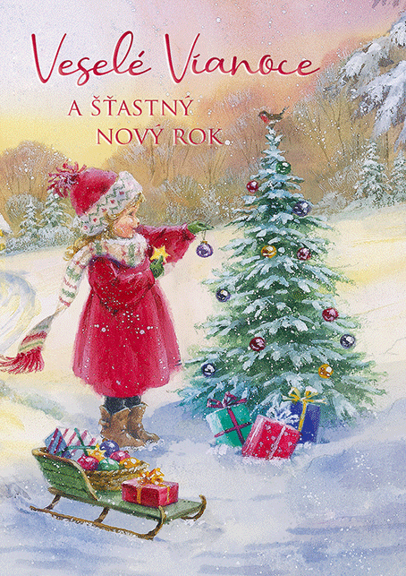 0611-0300s Pohľadnica vianočná 3D SK