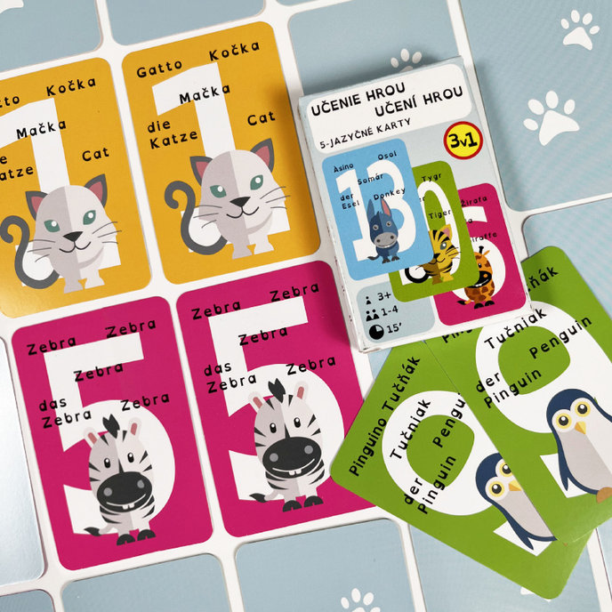 2201-0053 Edukačné hracie karty