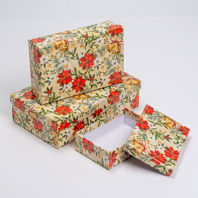 2500-1187 Darčeková krabica, set 10ks