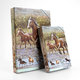 1241-0414 School folder A5 Wild horses