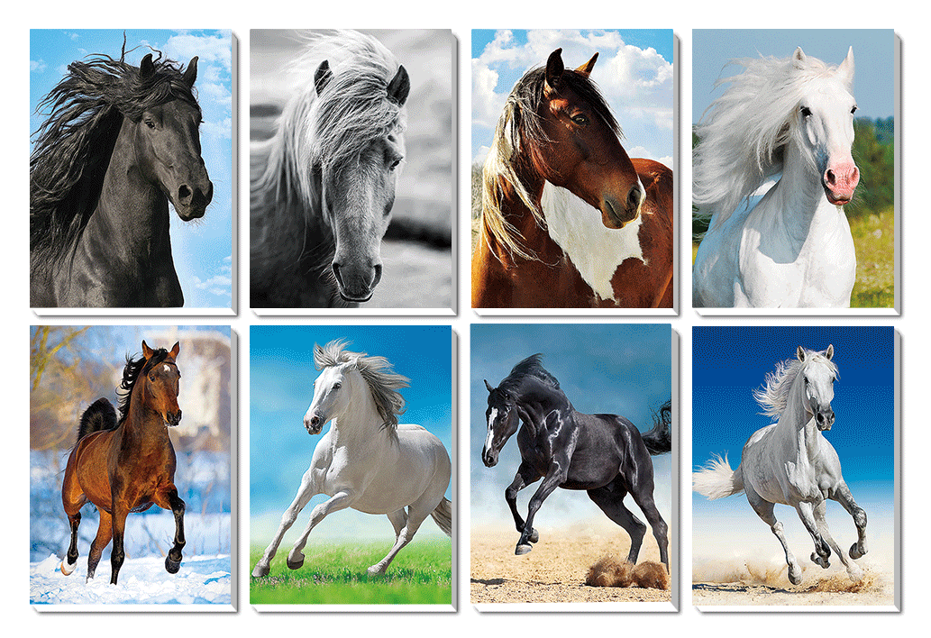 1116-0004 Trhací zápisník s magnetom 3D efekt