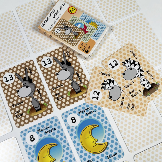 2201-0052 Educational playing cards