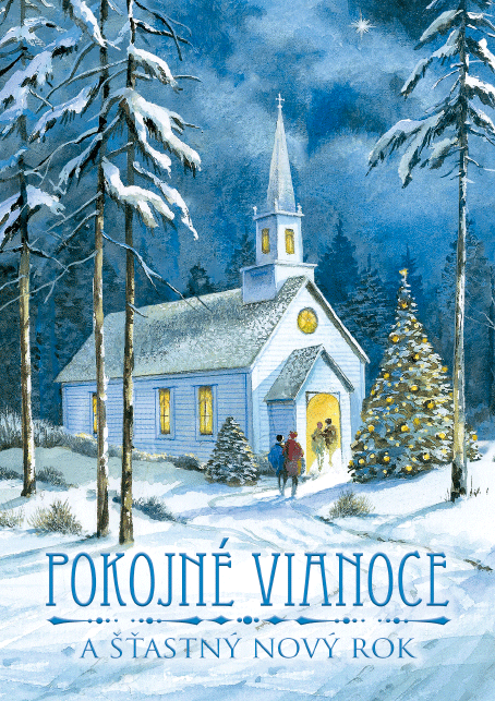 0611-0313s Pohľadnica vianočná 3D SK