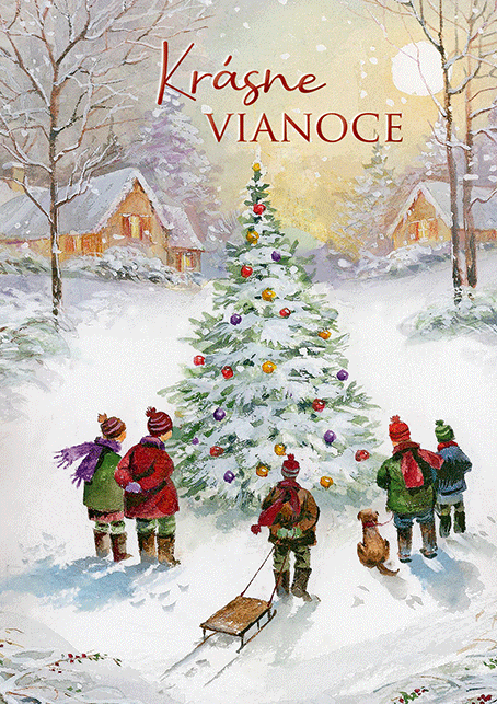 0611-0300s Pohľadnica vianočná 3D SK