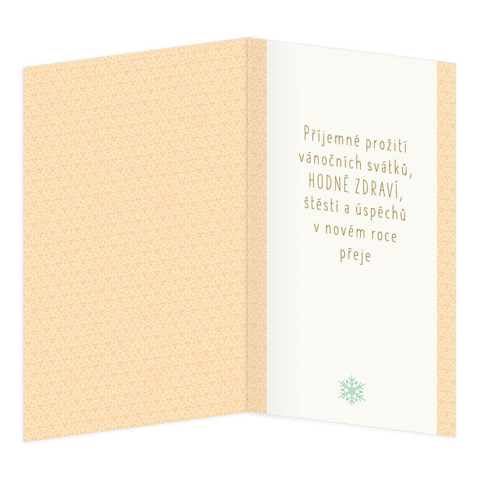 11-6537 Christmas greeting card CZ