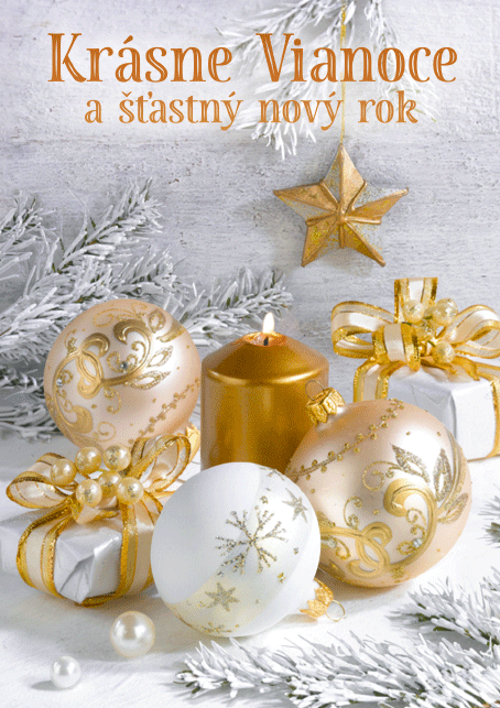 0611-0335s Christmas postcard 3D SK