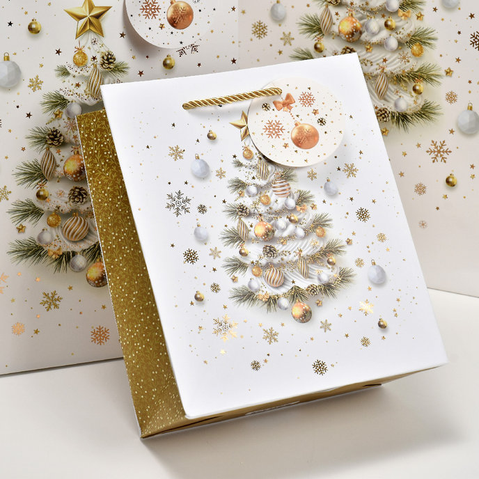 0889-0168 Gift bag LUX