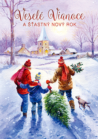 71-9015 Blahoprajná karta vianočná 3D SK