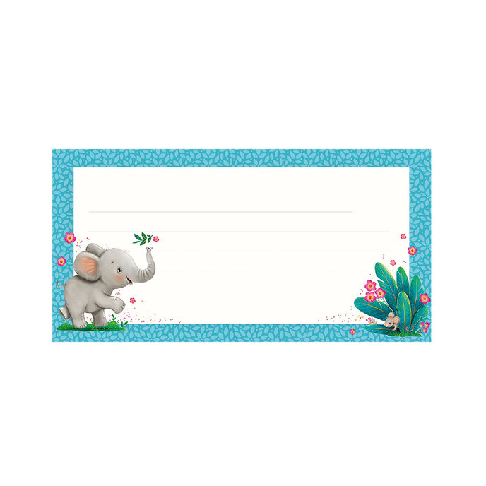 87-6007 Envelope with card