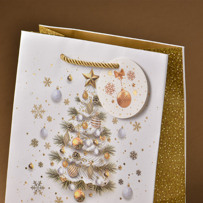 0849-0168 H Gift bag LUX