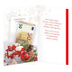 11-6524 Christmas greeting card card with leap SK