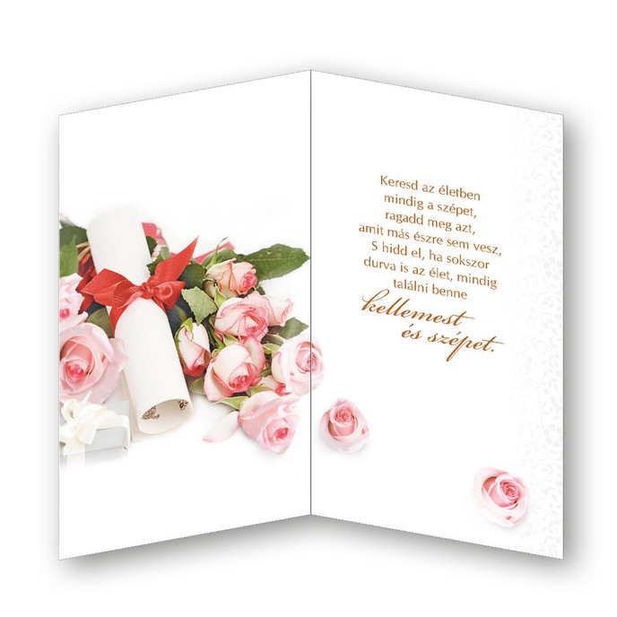 18-693 Graduation greeting card HU
