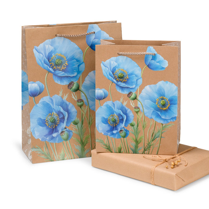 0784-0150 Gift bag NATUR