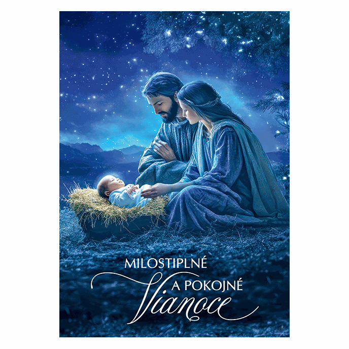 0611-0334s Christmas postcard 3D SK