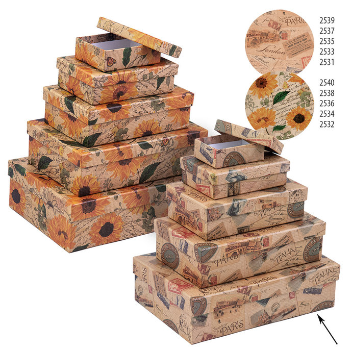 2539-0159 Darčeková krabica 24,5x16,5x6,6cm /2500-8159/