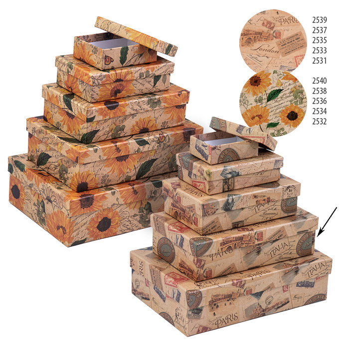 2537-0159 Darčeková krabica 20,7x12,7x5,7cm /2500-8159/