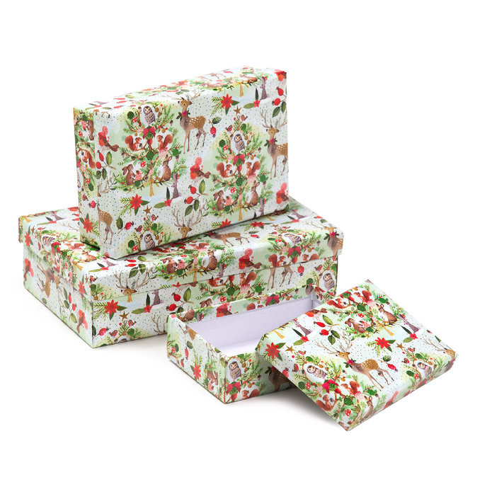 2500-1181 Darčeková krabica, set 10ks