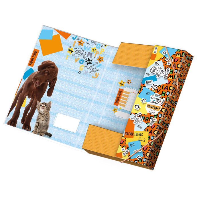 1231-0307 Box na zošity A4 Forever friends