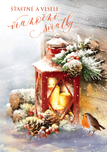 0611-0328s Pohľadnica vianočná 3D SK