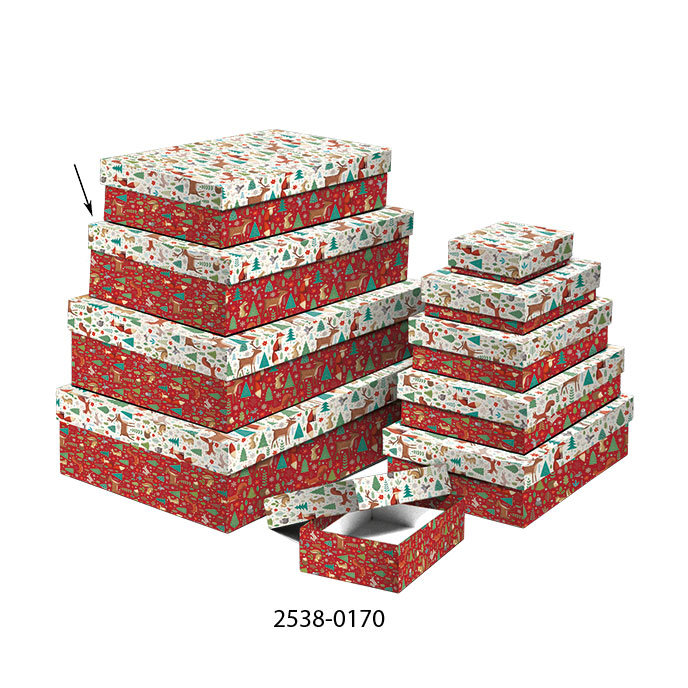 2538-0170 Darčeková krabica 22,4x14,4x6,3cm /2500-8170/