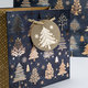 0829-0171 Gift bag LUX