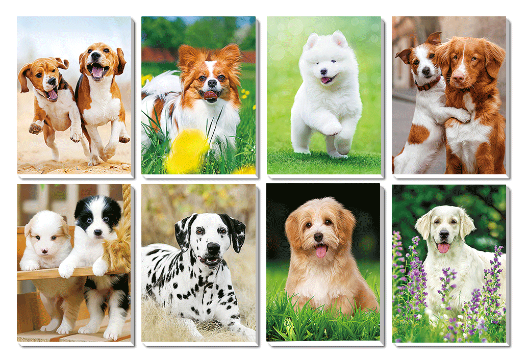 1116-0002 Trhací zápisník s magnetom 3D efekt