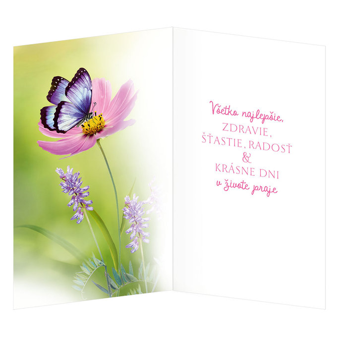 15-6549 Greeting card SK