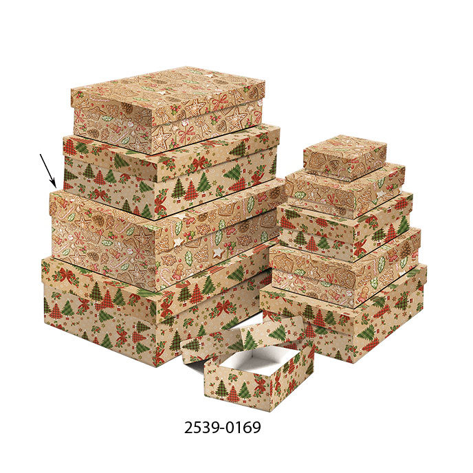 2539-0169 Darčeková krabica 24,5x16,5x6,6cm /2500-8169/