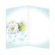 15-6417 nGreeting card  HU