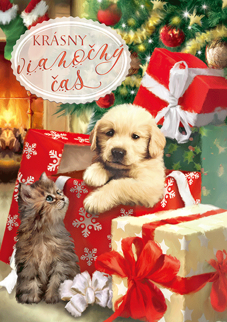 0611-0328s Pohľadnica vianočná 3D SK