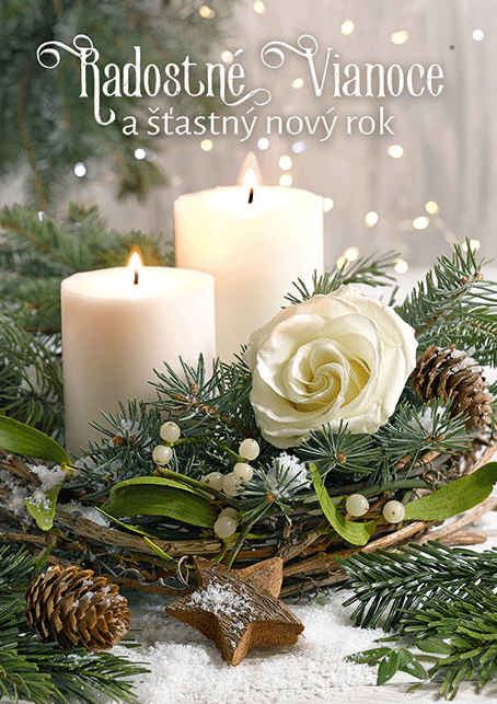 0611-0314s Pohľadnica vianočná 3D SK