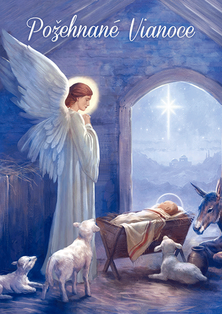 0611-0312s Pohľadnica vianočná 3D SK