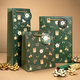 0859-0167 Gift bag LUX