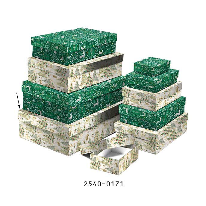 2540-0171 Gift box 26,4x17,6x7,3cm /2500-8171/