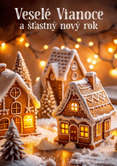 0611-0335s Christmas postcard 3D SK
