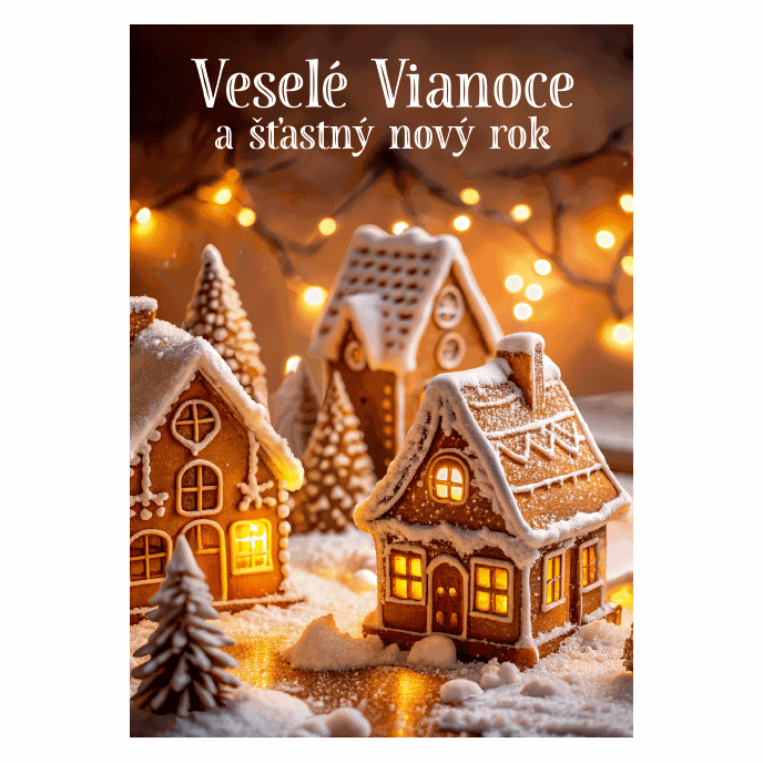 0611-0335s Christmas postcard 3D SK