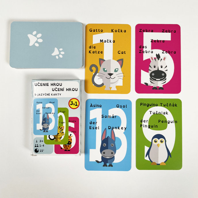 2201-0053 Edukačné hracie karty