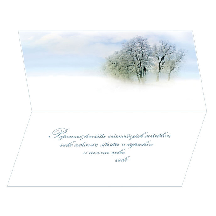 81-608 CHristmas greeting card
