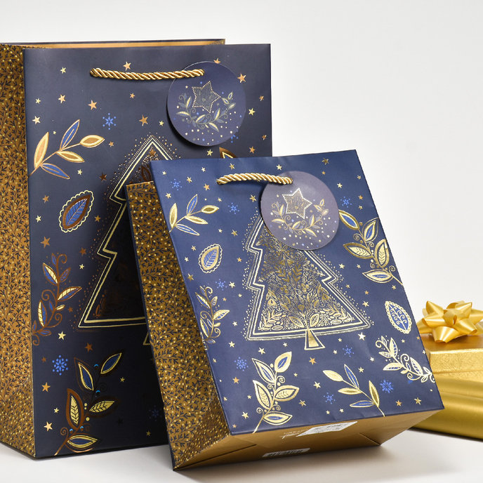 0849-0166 H Gift bag LUX