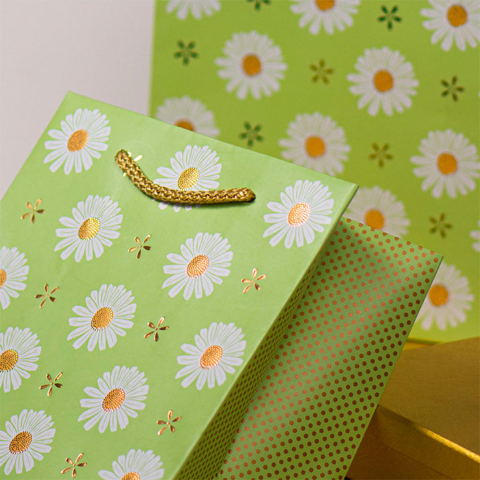 0729-0182 Gift bag LUX