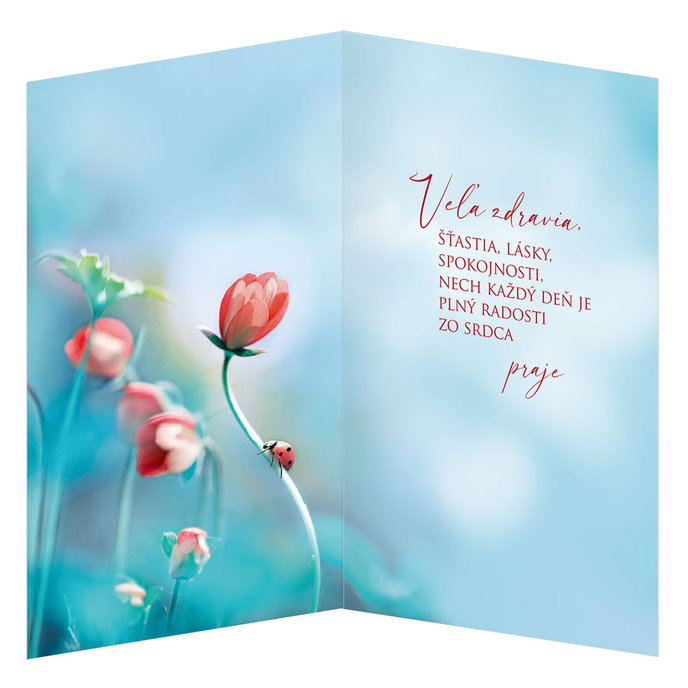 55-609 Greeting card SK