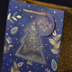 0849-0166 H Gift bag LUX