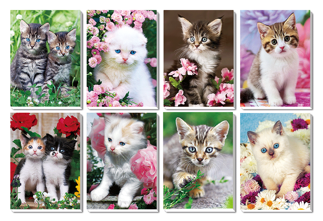 1116-0003 Trhací zápisník s magnetom 3D efekt