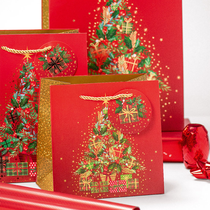 0829-0169 H Gift bag for vine LUX