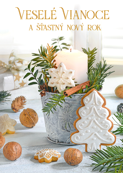 71-9020 Christmas greeting card 3D SK