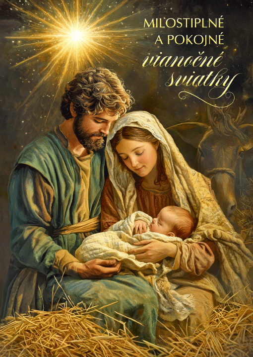 71-9019 Christmas greeting card 3D SK