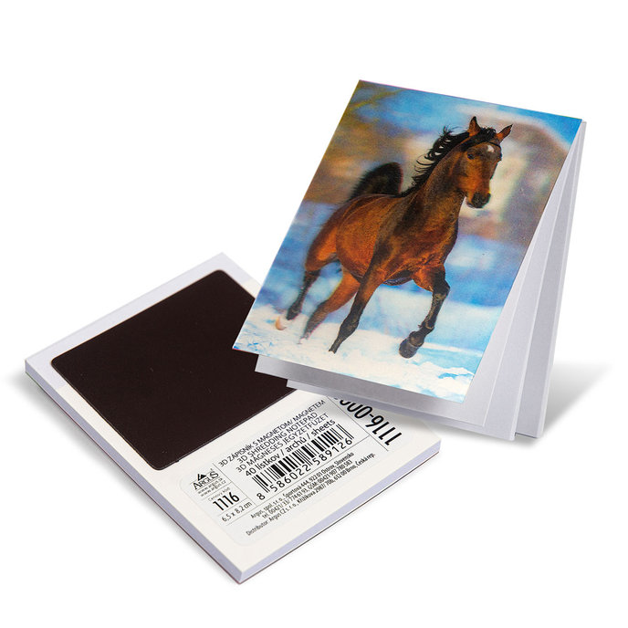 1116-0004 Trhací zápisník s magnetom 3D efekt