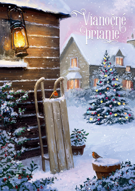 0611-0314s Pohľadnica vianočná 3D SK