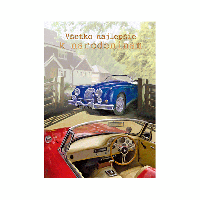 75-9020 Greeting card 3D SK