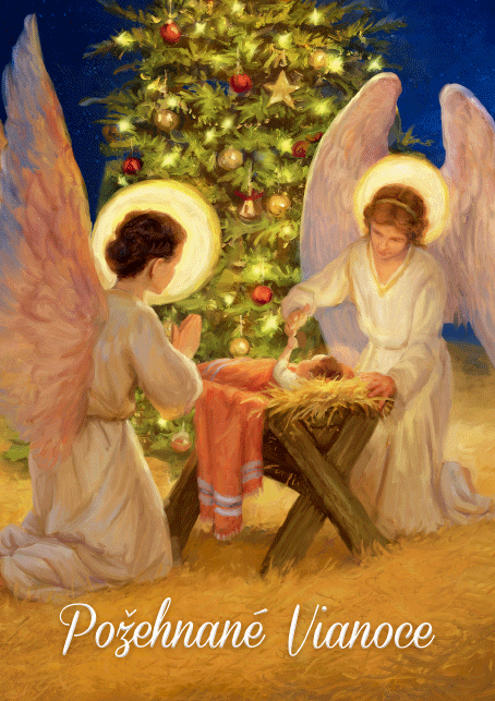 0611-0312s Pohľadnica vianočná 3D SK